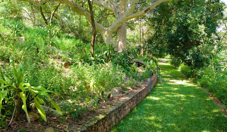 Lowveld National Botanical Garden, South Africa